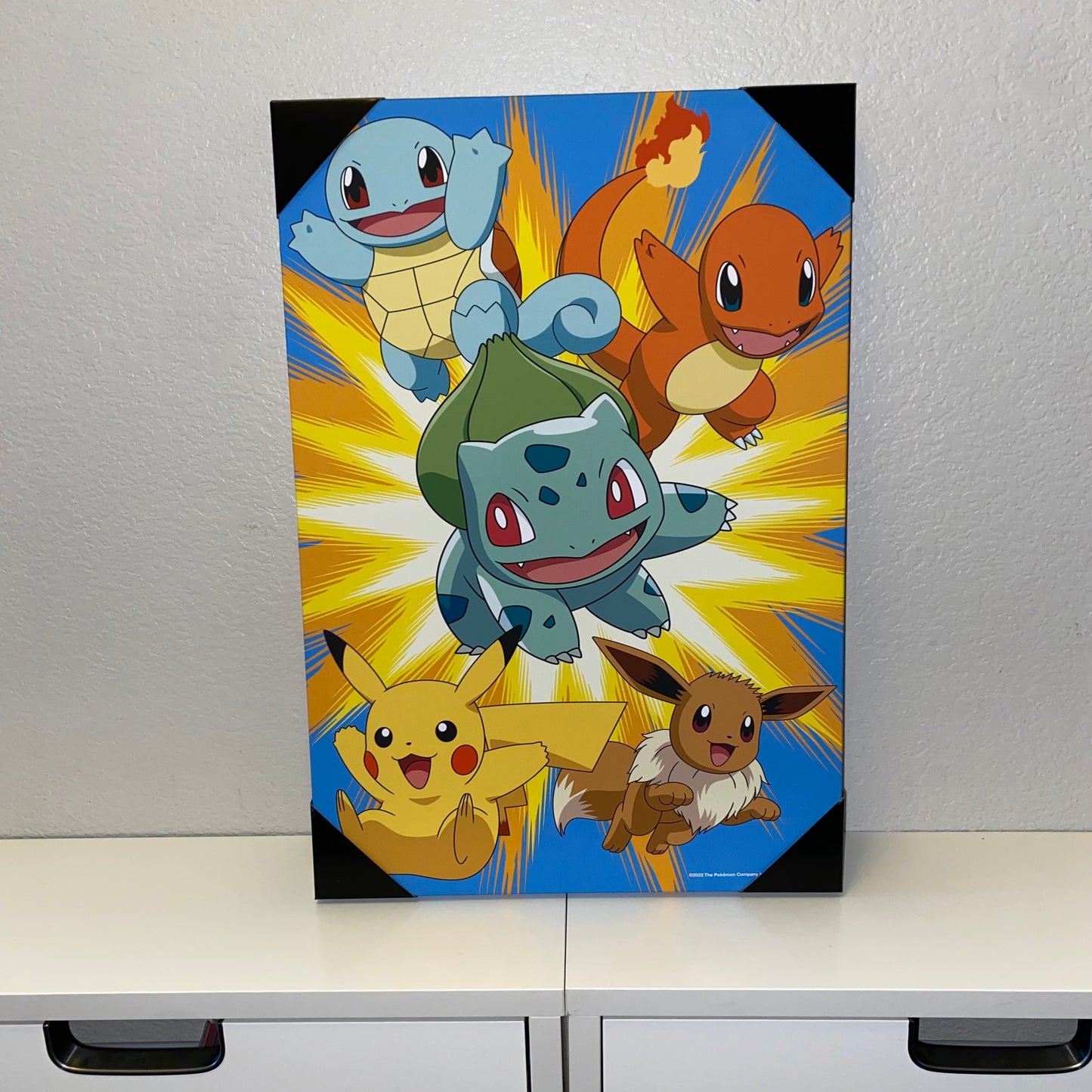 Pokemon Canvas Artwork