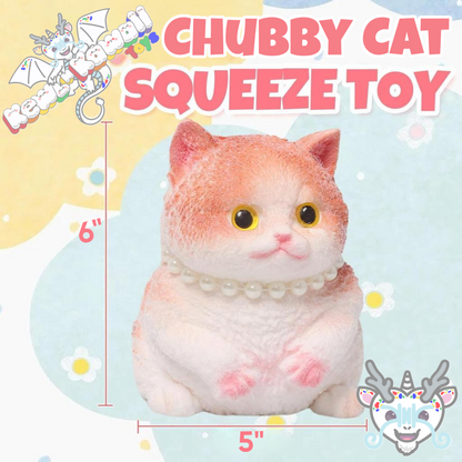 Squishy Chubby Cat Fidget