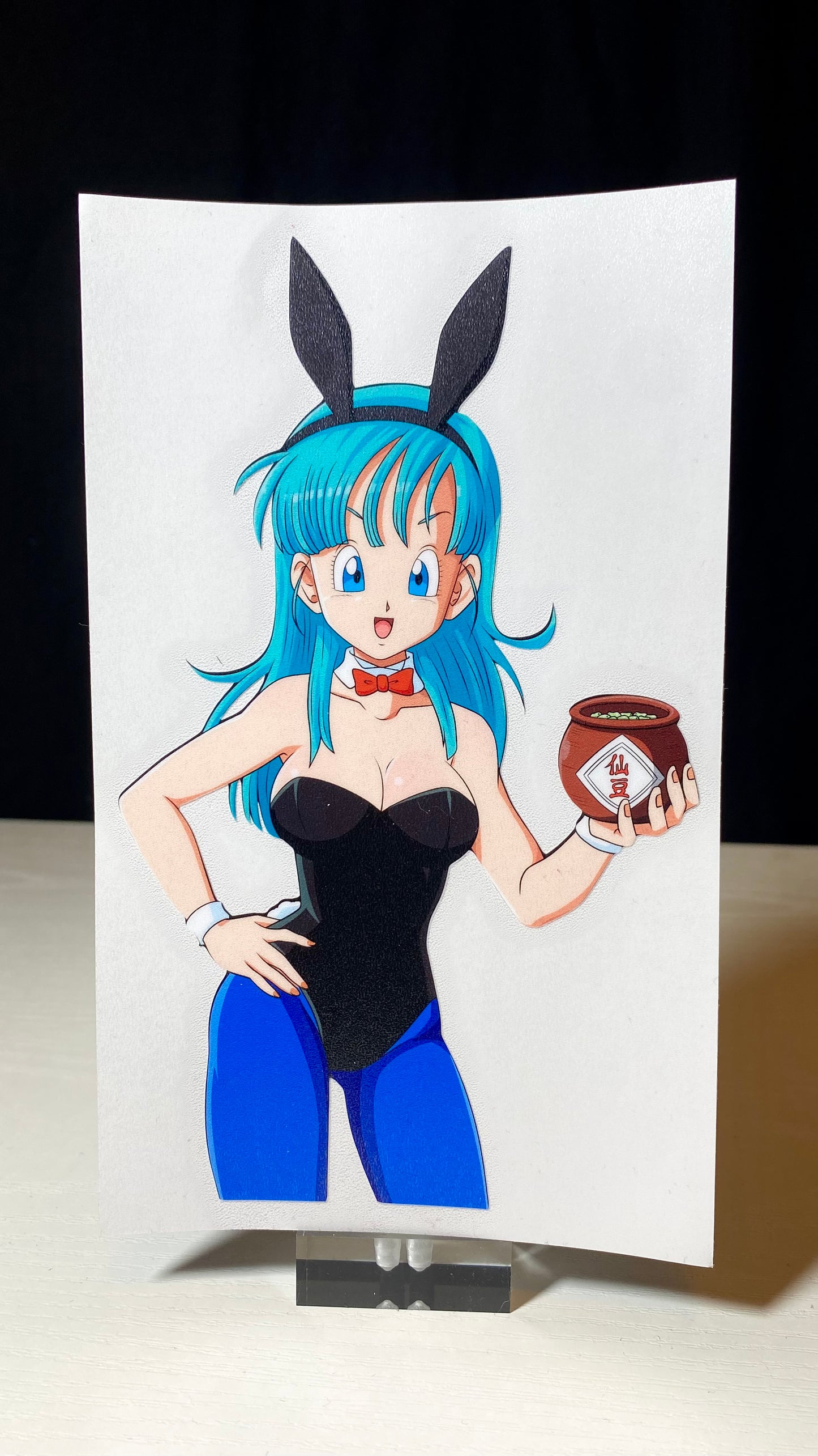 Bunny Outfit Anime Girls UV Decal Stickers